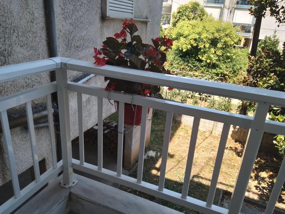 Ferienwohnung Little Beauty - Happyhostgr - In Platamonas Exterior foto