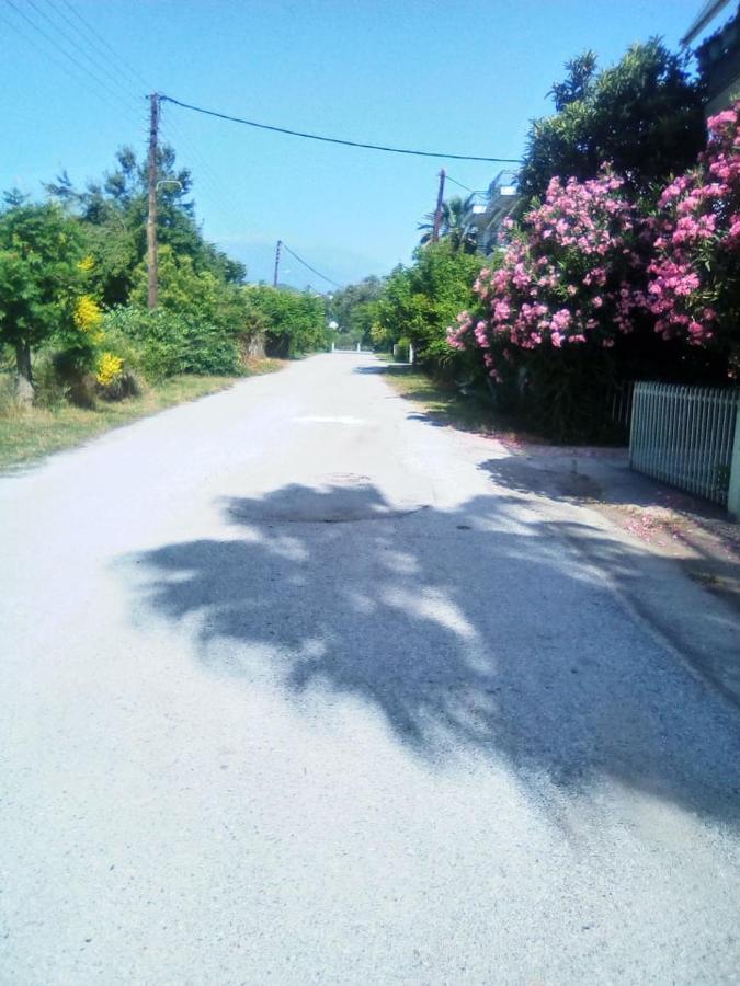 Ferienwohnung Little Beauty - Happyhostgr - In Platamonas Exterior foto